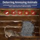thumbnail image 2 of Steel Wool 000 4 Pcs Wool Fill Fabric Keep Mice Away From Holes Siding Pipeline Vents In Garden House Hardware, 2 of 5