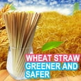 thumbnail image 2 of Straw 200PC Straw Party Wheaat Wheeat Kitchen，Dining & Bar, 2 of 8