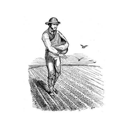 Crop Rotation: Sowing Seed Broadcast, 1855 Print Wall