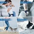 thumbnail image 5 of Visland Pet Soft Washable Female Diapers - Female Dog Diapers, Comfort Reusable Doggy Diapers for Girl Dog in Period Heat,Breathable Mesh, 5 of 9