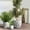 SH006-White, variant on Large Concrete Planters Set of 3, Big Round Outdoor Indoor Garden Pots with Drainage Hole & Rubber Plug, 18/13/9 Inch Diameter (SH004)