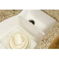 Rubbermaid Clear Sink Divider