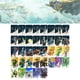 thumbnail image 2 of Tarjetas De Colección De Juegos Tarjeta de vinculación clásica Tarjeta de vinculación de juego a prueba de agua para el hogar (37 piezas de tarjetas grandes), 2 of 3