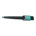 thumbnail image 4 of Eaton Tripp Lite Series 400G Multimode 50/125 OM4 Plenum-Rated Fiber Optic Cable, 24F MTP/MPO-PC (F/F), Aqua, 1 m - Network cable - MTP/MPO/PC multi-mode (F) to MTP/MPO/PC multi-mode (F) - 1 m - fiber optic - 50 / 125 micron - OM4 - plenum - black, aqua, 4 of 4
