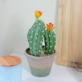 thumbnail image 2 of Allstate Flowering Artificial Column Cactus with Ceramic Pot - 12.5" - Green and Beige, 2 of 2