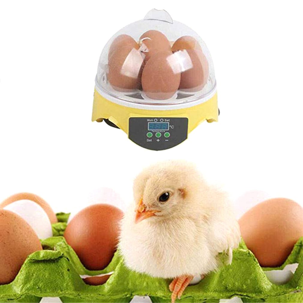7 Eggs Incubator Bird Egg Incubator Semiautomatic Miniature Egg