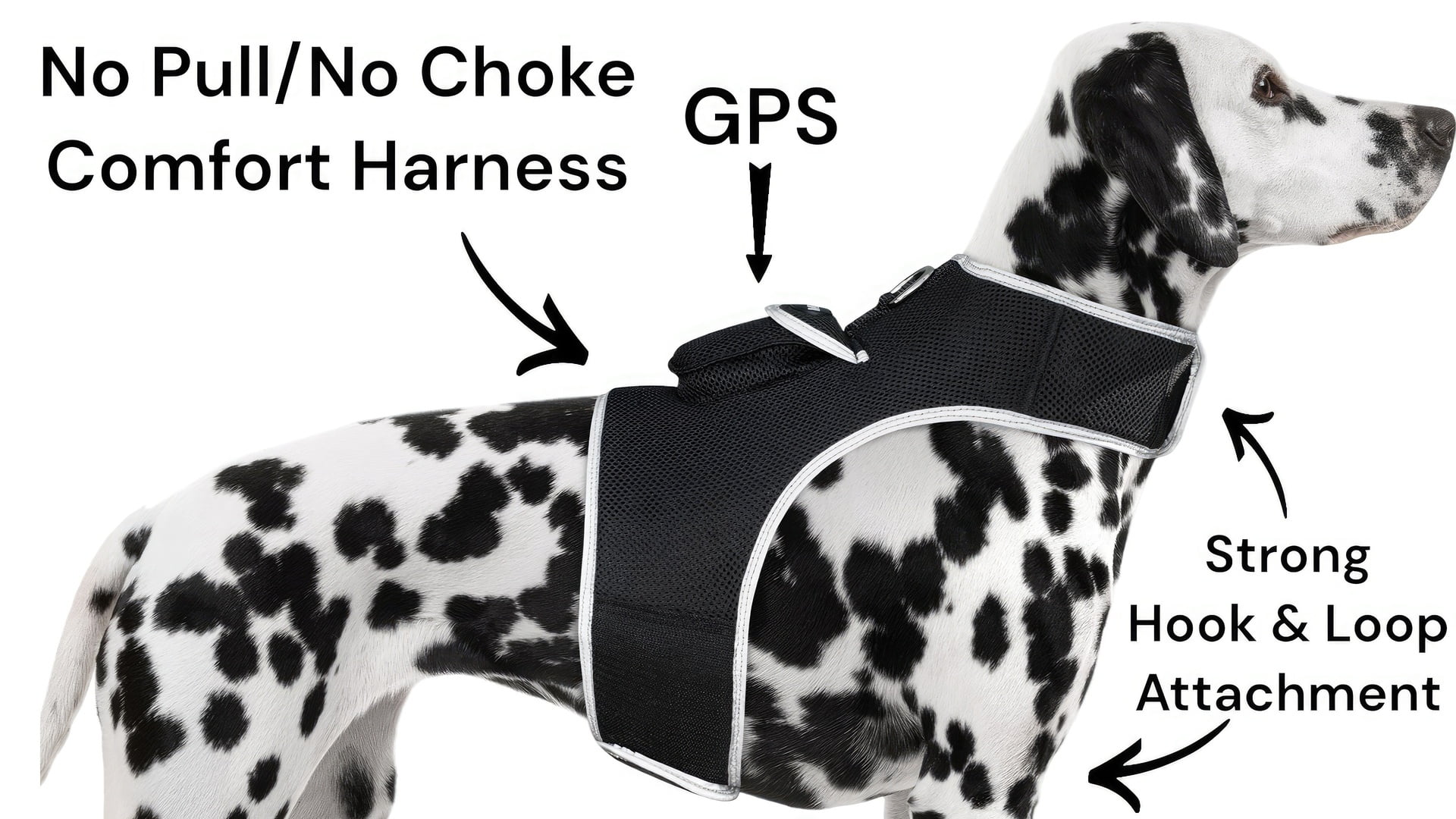 Observe Pet Location While Working - Pet Tracker Rechargeable Dog GPS Collar Tracker Size:XL