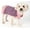Pink, variant on Pet Life ® 'Harmonious' Dual Color Weaved Heavy Cable Knitted Fashion Designer Dog Sweater
