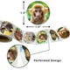 thumbnail image 3 of Pegatinas de animales del zoológico realistas Laklulu, animales de safari, jungla, 200 piezas por rollo para niños, 3 of 5
