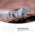 thumbnail image 4 of 1 caja de alimentación para arañas, lagartos, escorpiones, geckos, escarabajos e insectos., 4 of 5