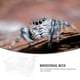 thumbnail image 3 of 1 caja de alimentación para arañas, lagartos, escorpiones, geckos, escarabajos e insectos., 3 of 7