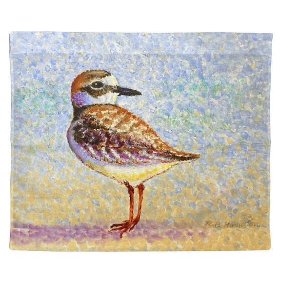 Betsy Drake Interiors Wilson's Plover Outdoor Wall Hanging 24x30