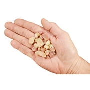 Kidz Rocks Multicolor Tourmaline Crystal 1/2" 2 oz Raw Chakra Healing Stone Rock Mineral