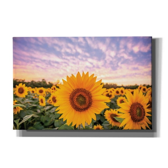 Epic Graffiti 'Sunflower Sunset' by Donnie Quillen, Canvas Wall Art, 60"x40"