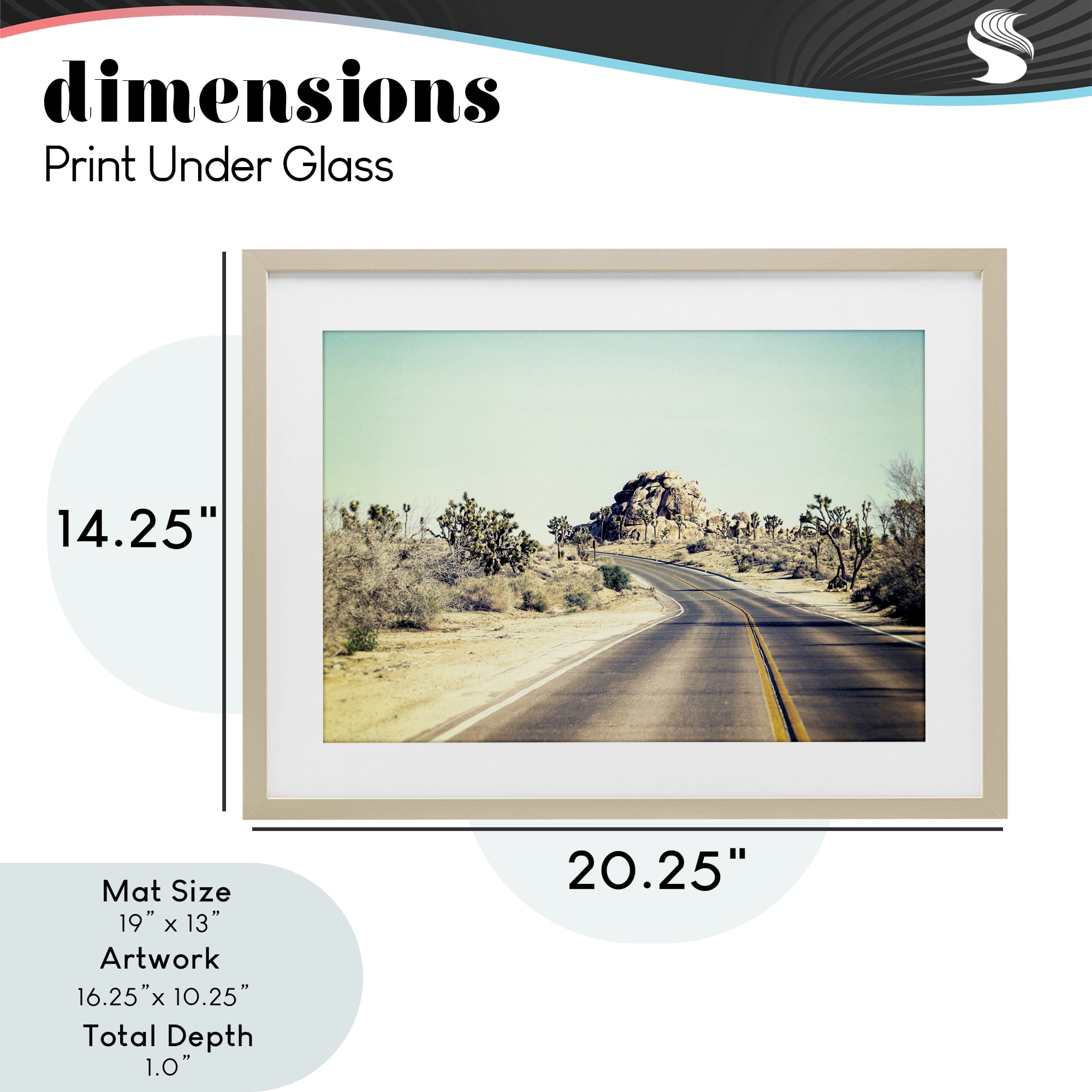 Road Trip Joshua Tree Park Birch Framed Print Under Glass, design by Joseph S Giacalone