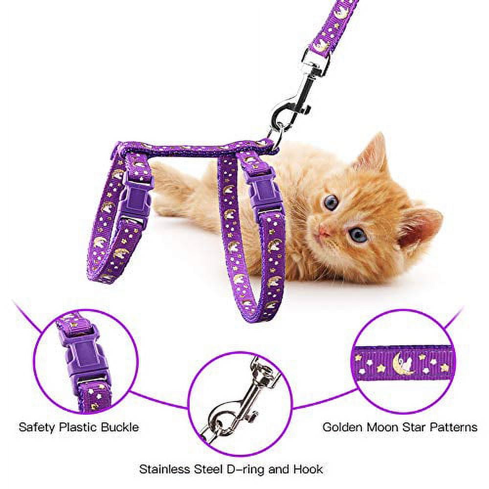 Cat Harness & Leash Set - Cash Cat Limited Edition — Cat Culture