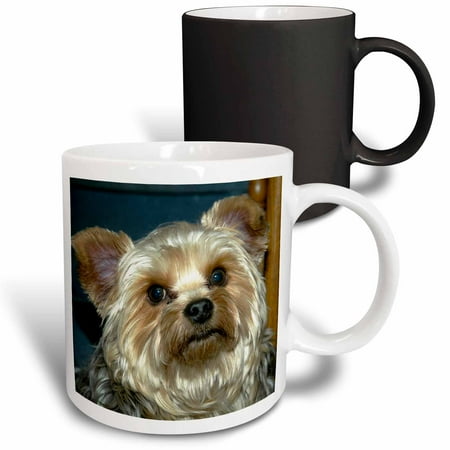 

3dRose Yorkie Magic Transforming Mug 11oz