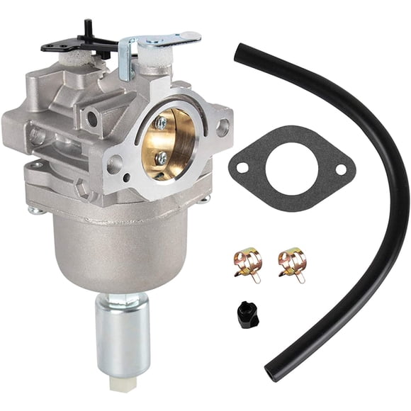 Carburetor Fits for Briggs & Stratton BS 591731 796109 594593 Lawn Mower Engine Carb