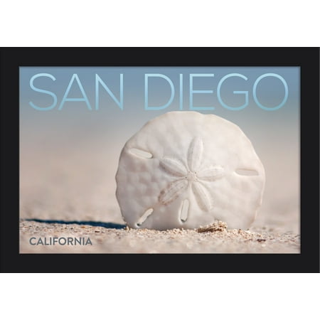 San Diego, California - Sand Dollar on Beach - Lantern Press Photography (18x12 Giclee Art Print, Gallery Framed, Black Wood)