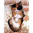 thumbnail image 1 of Pintura de diamante (DE4581) 5D DIY gato durmiendo bordado punto de cruz decoración del hogar 30x40cm Hugtrwg Para estrenar, 1 of 1