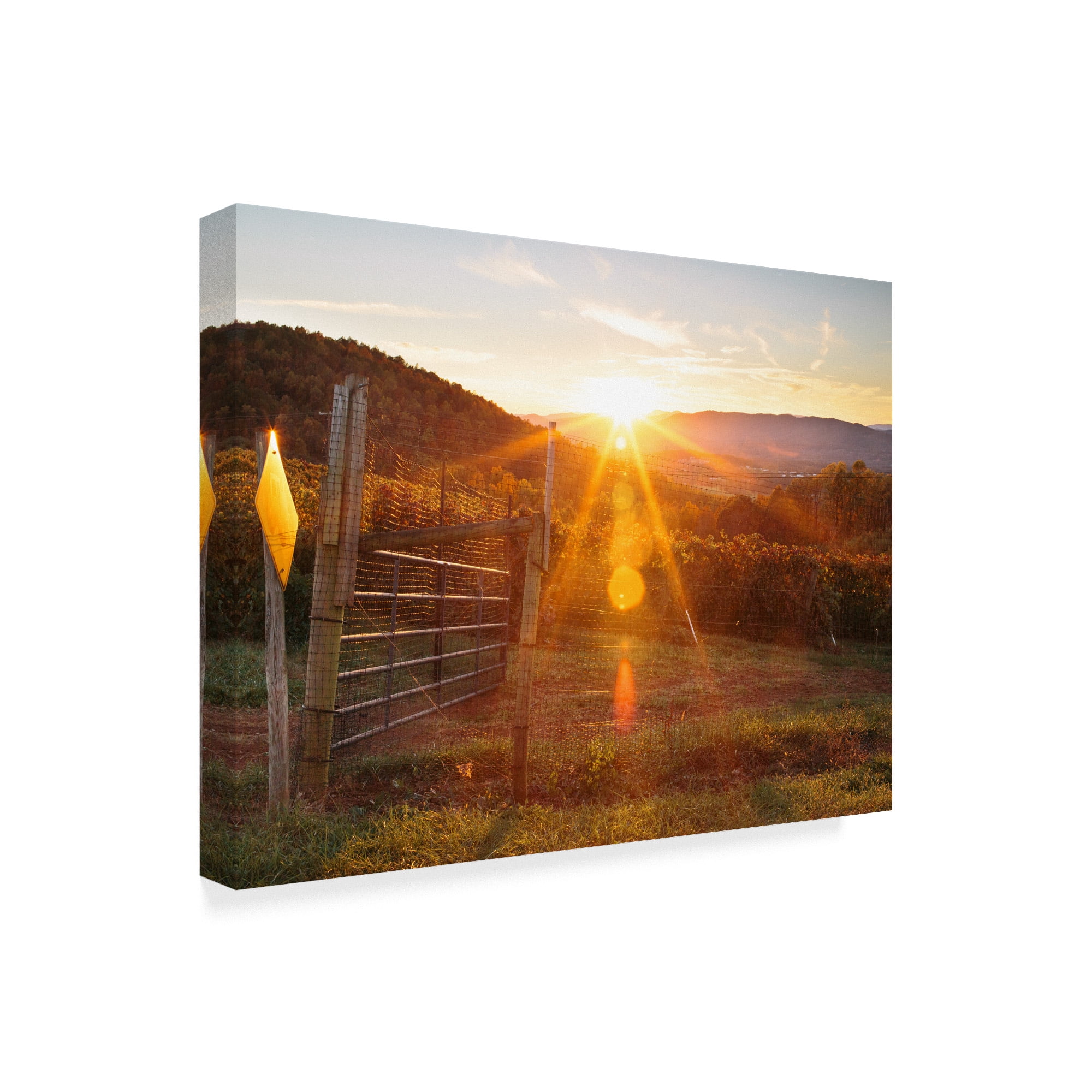 Trademark Fine Art 'Farm Study VII' Canvas Art by Adam Mead