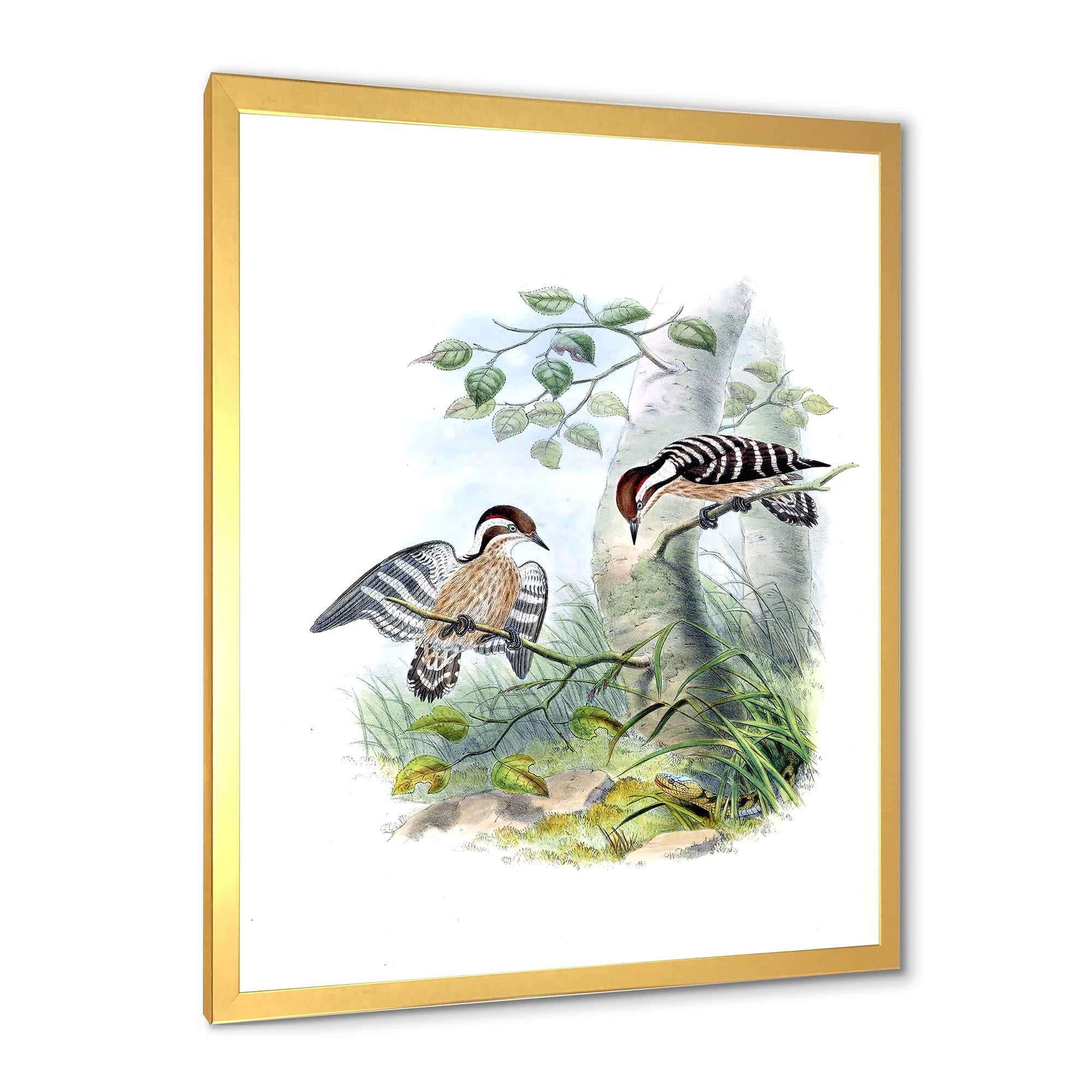 Designart 'Ancient Birds In The Wild I' Traditional Framed Art Print