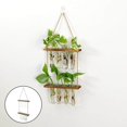 thumbnail image 1 of Hanging Glass Vase Flower Plant Hydroponics Bottle Container Hanging Hydroponic Plant Test Tube Container Decor, 1 of 8