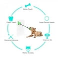 thumbnail image 4 of PENGXIANG Dog Toys Pet Double Sucker Serrated Molar Stick Interactive Suction Cup Elastic Ropes Tooth Clean Chewing Squeaky Toothbrush, 4 of 5