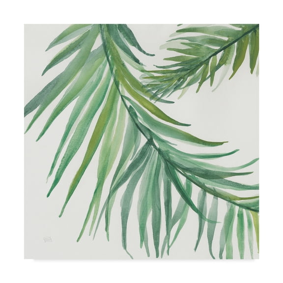 Trademark Fine Art 'Ferns Square IV' Canvas Art by Chris Paschke