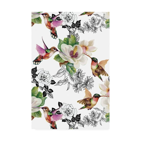Trademark Fine Art 'Colibris' Canvas Art by Incado
