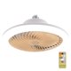 thumbnail image 1 of Ventilador de viento grande con luz LED con control remoto inteligente, rosca E27, 1 of 8