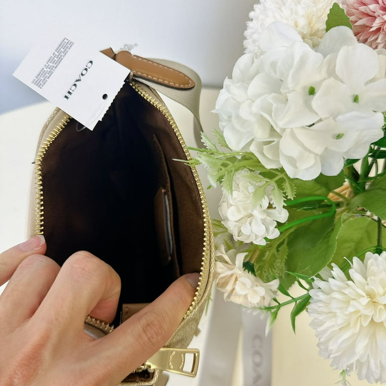 Coach CR248 Mini Rowan File Bag In Signature Canvas With Stripe IN