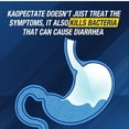 thumbnail image 5 of Kaopectate Anti-Diarrheal Sensitive Stomach Relief Liquid, Peppermint, 11oz, 5 of 8