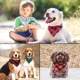 thumbnail image 5 of Accesorios Para Perros Gato Algodón Estilo Cuadros Paliacate, 5 of 8