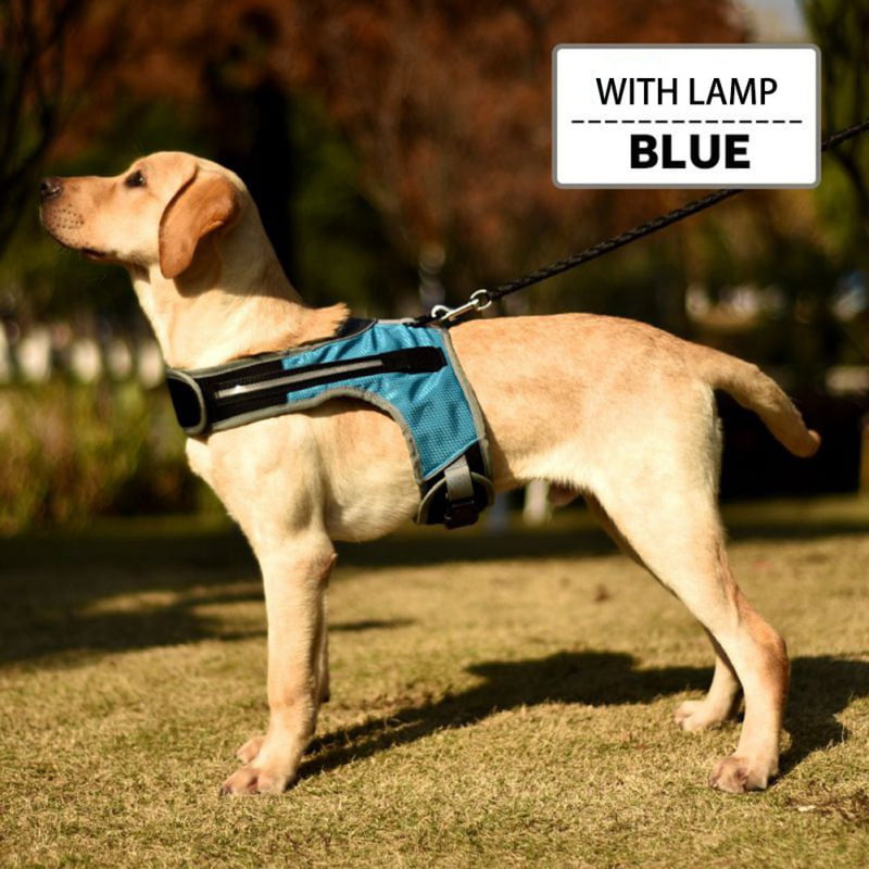 Front Leading No-Pull No-Choke Dog Harness and Leash for Large Dogs Pet S M L XL 