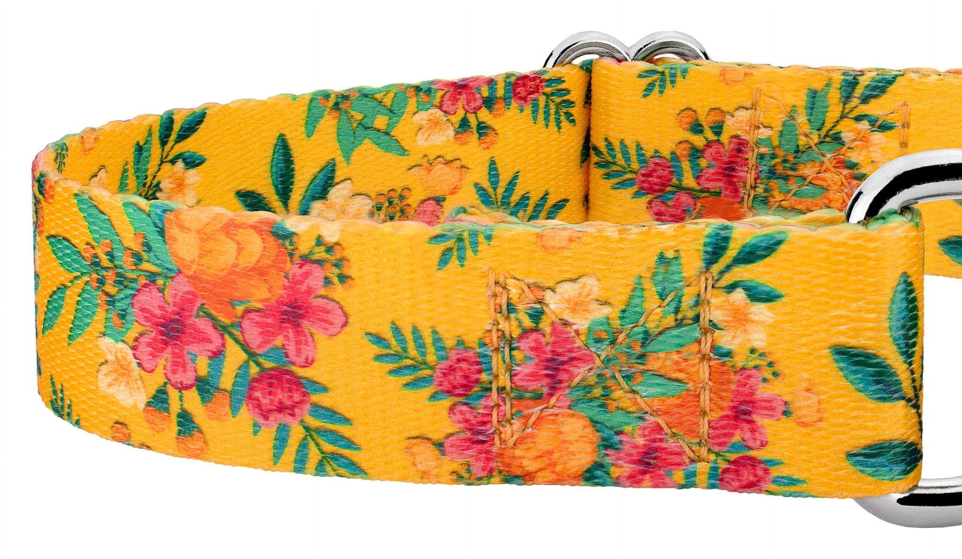 Country Brook Petz® Tropical Floral Martingale Dog Collar and Leash, Large