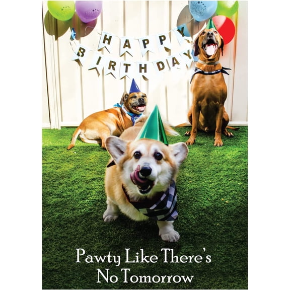 Pawty Like There's No Tomorrow Birthday Greeting Card