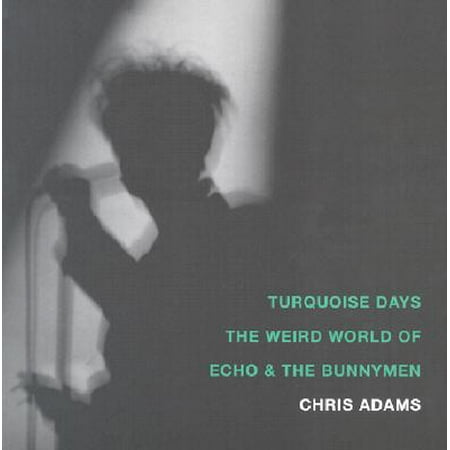 Turquoise Days : The Weird World of Echo & the (Best Of Echo And The Bunnymen)