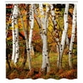 thumbnail image 3 of Ambesonne Fall Shower Curtain, White Birch Trees Serenity, 69"Wx75"L, Multicolor, 3 of 3