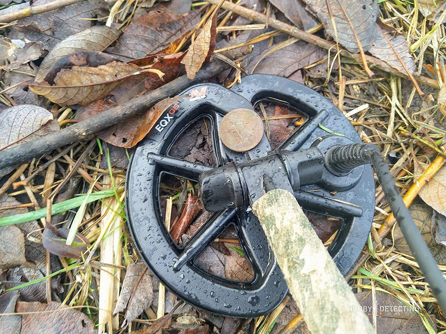 Minelab 6" EQX 06 Round Double-D Waterproof Smart Search Coil for EQUINOX Series Metal Detectors