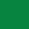 thumbnail image 3 of Faber-Castell Polychromos - Lápiz para artistas, color verde permanente 266 multicolor, 3 of 3