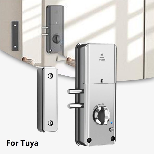 Bgsha Door Lock Smart Invisible Door Lock Wood Door Lock For Tuya APP/Card Unlock