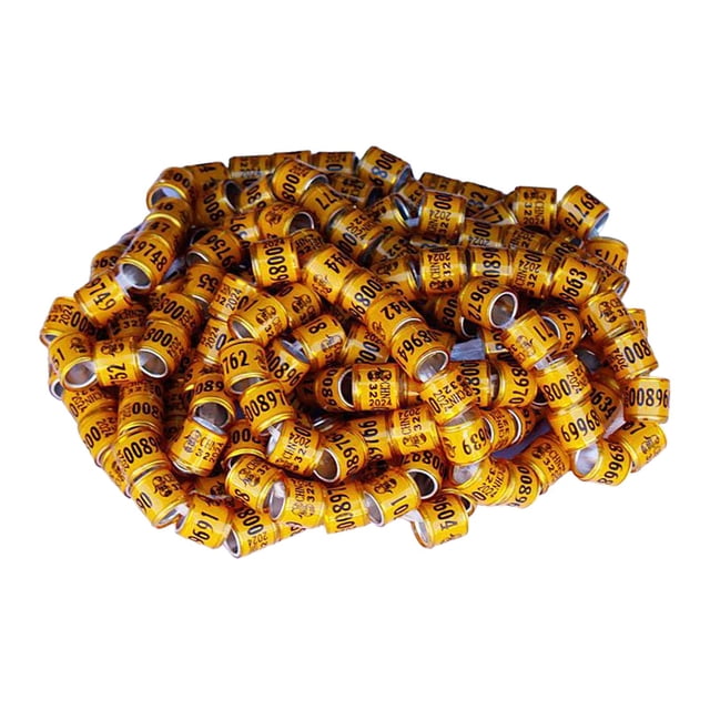 100 piezas de bandas de aluminio para patas de paloma, anillos para patas de pájaros, livianos 2024, portátiles, Naranja