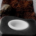 thumbnail image 4 of Reptile Hide Cave Leopard Hiding Place Crawl Pets Hidden Platform Reptile Box Adornment, 4 of 9
