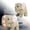 B, variant on Realistic Walking Elephant Toy with Moving Head and Tail Interactive Animated Stuffed Animal for Kids
