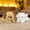 Dog - Sheep, variant on 18cm Lying Animal Plush Toy Set, 2-Pack Mini Soft Stuffed Animals, Fluffy Cuddle Plushies for Kids, Gift for Birthday & Holiday
