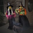 thumbnail image 4 of Haunted Hill Farm Motion-Activated Wicked Cauldron Witches, Premium Talking Halloween Animatronic, Plug-In, HHWTCHCLDN-3FLSA, 4 of 20