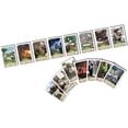 thumbnail image 3 of Timeline Diversity The Game, 3 of 3