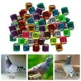 thumbnail image 4 of 100Pcs 2022 Aluminium Dove Racing Pigeon Foot Rings Bands 8mm Mix, 4 of 8