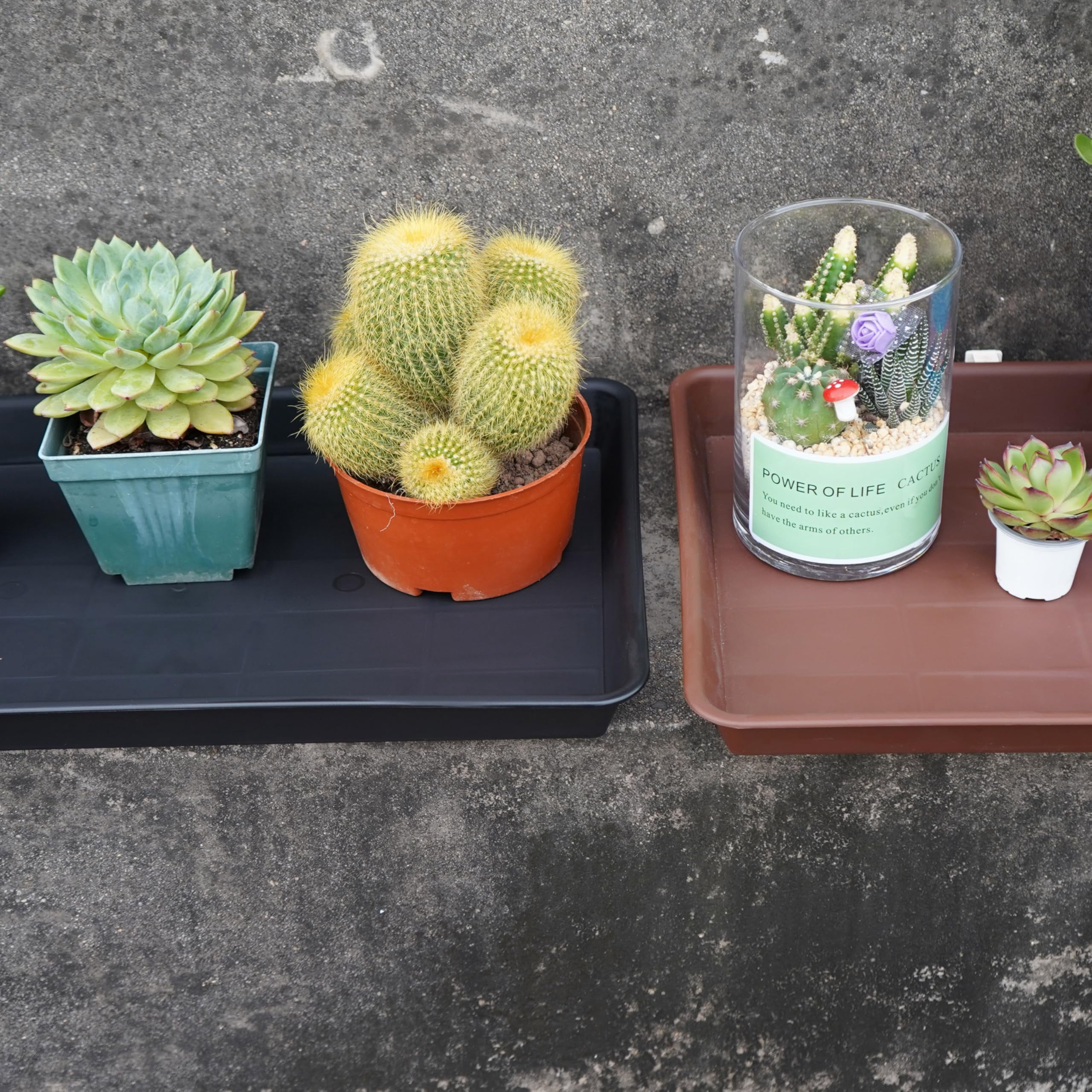 Plant Saucer Growing Tray Set 2-Pack 11x9 Inch Heavy Duty Plastic Seed Starter Trays with Drainage for Indoor Outdoor Pots Gardening Supplies